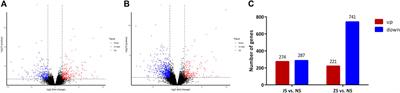 Effects of short-term water velocity stimulation on the biochemical and transcriptional responses of grass carp (Ctenopharyngodon idellus)